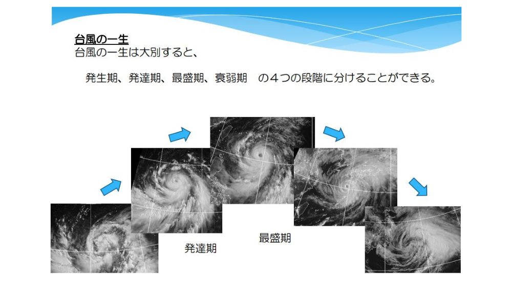 台風の発生期から衰弱期の画像
